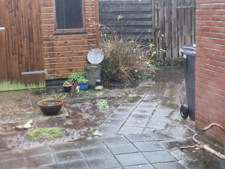 Onderhoudsvriendelijke tuin - vooraf Broeksterwald